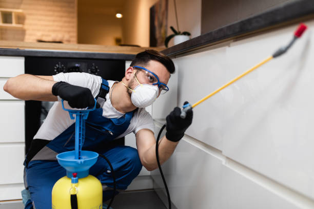  Van Buren, MO Pest Control Pros