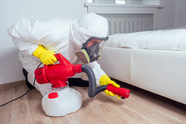 Best Emergency Pest Control  in Van Buren, MO